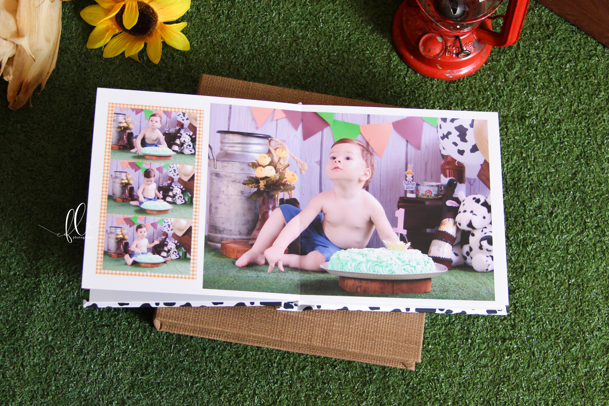 álbum encadernado, diagramação de álbum, diagramação, álbum fazendinha, diagramação de álbum fazendinha, fazendinha, smash the cake fazendinha,  design gráfico, 