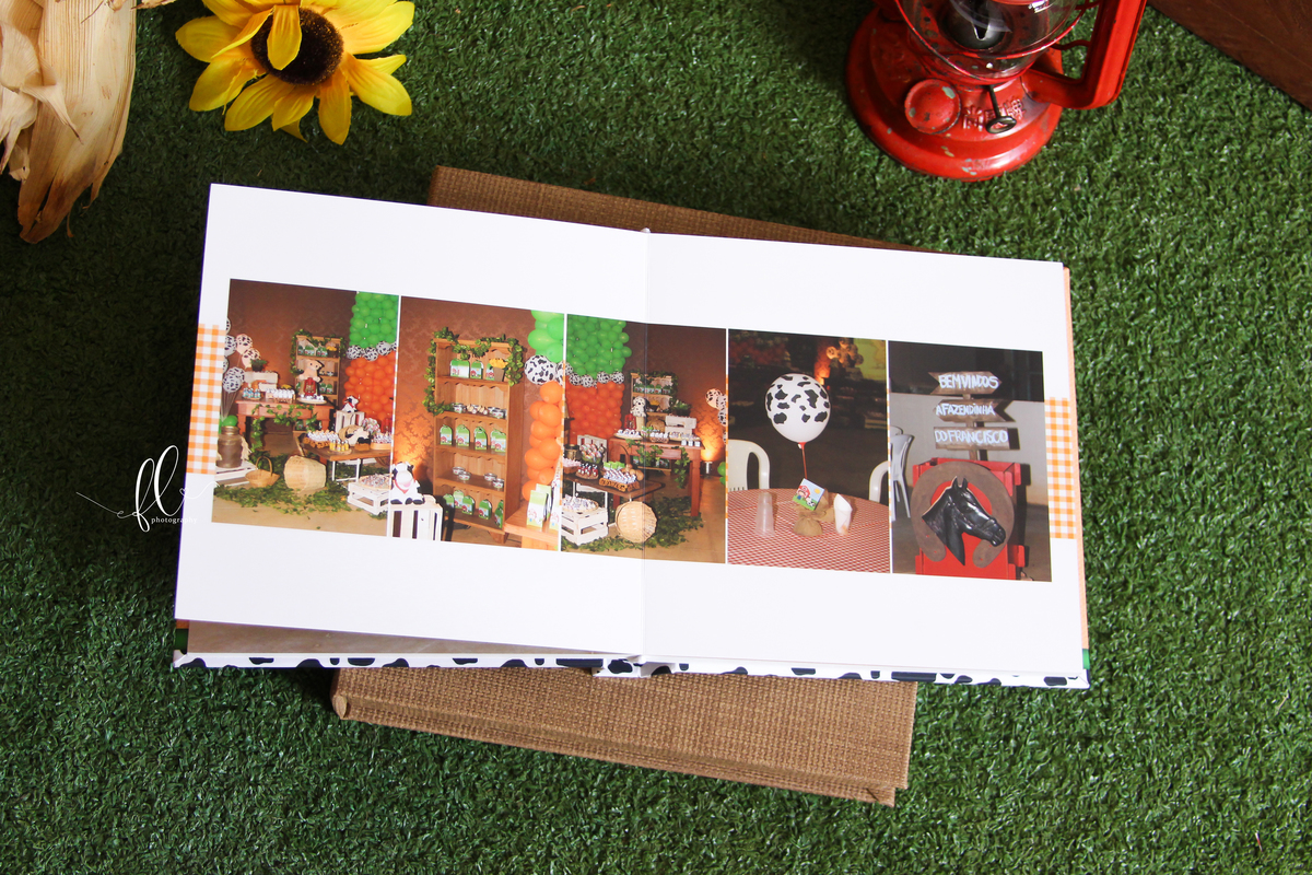 álbum encadernado, diagramação de álbum, diagramação, álbum fazendinha, diagramação de álbum fazendinha, fazendinha, smash the cake fazendinha,  design gráfico, 