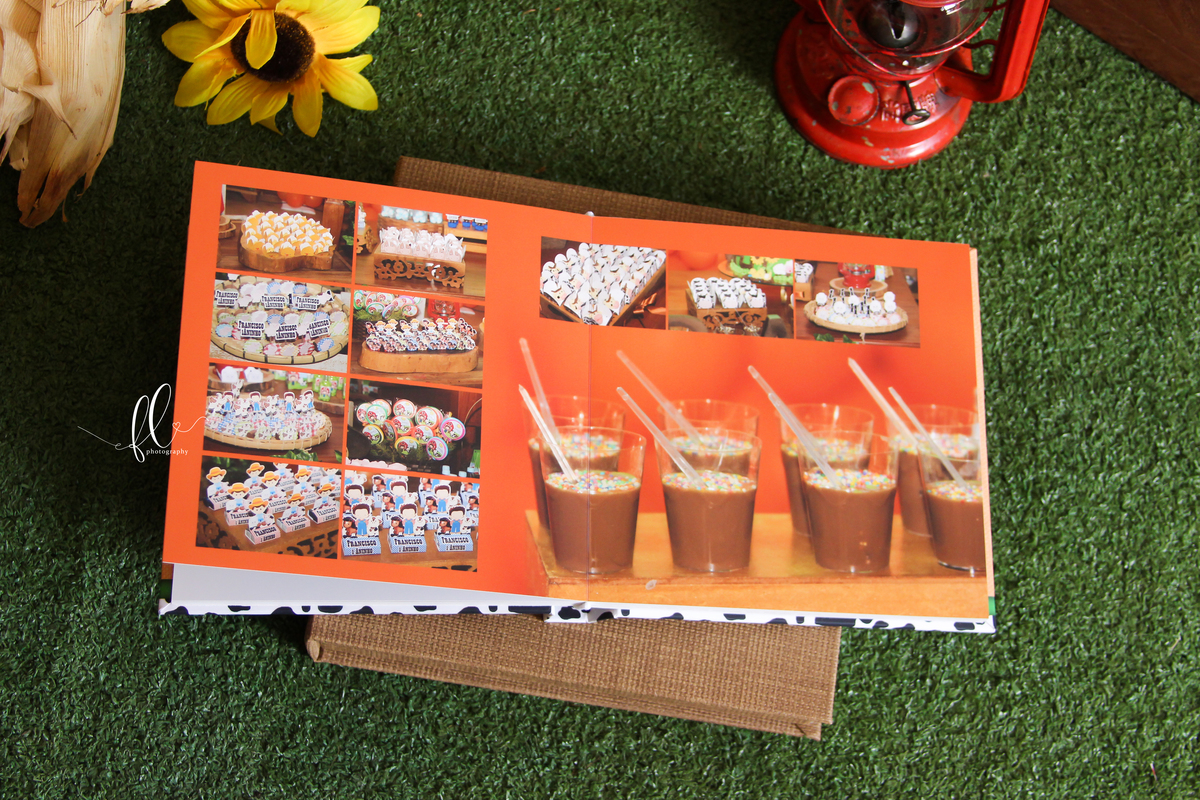 álbum encadernado, diagramação de álbum, diagramação, álbum fazendinha, diagramação de álbum fazendinha, fazendinha, smash the cake fazendinha,  design gráfico, 