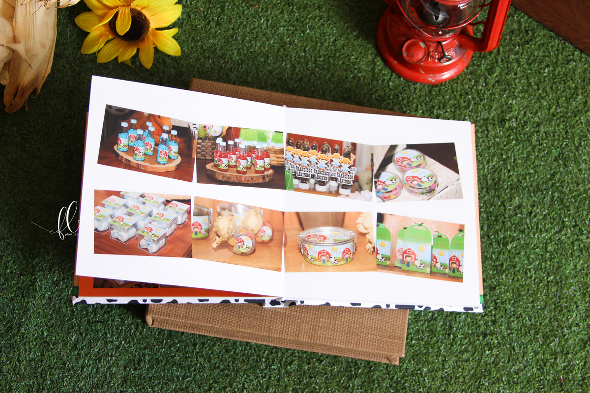 álbum encadernado, diagramação de álbum, diagramação, álbum fazendinha, diagramação de álbum fazendinha, fazendinha, smash the cake fazendinha,  design gráfico, 