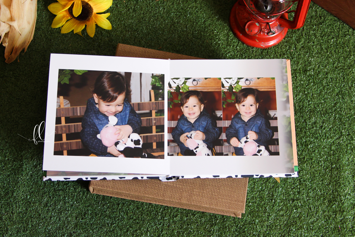 álbum encadernado, diagramação de álbum, diagramação, álbum fazendinha, diagramação de álbum fazendinha, fazendinha, smash the cake fazendinha,  design gráfico, 