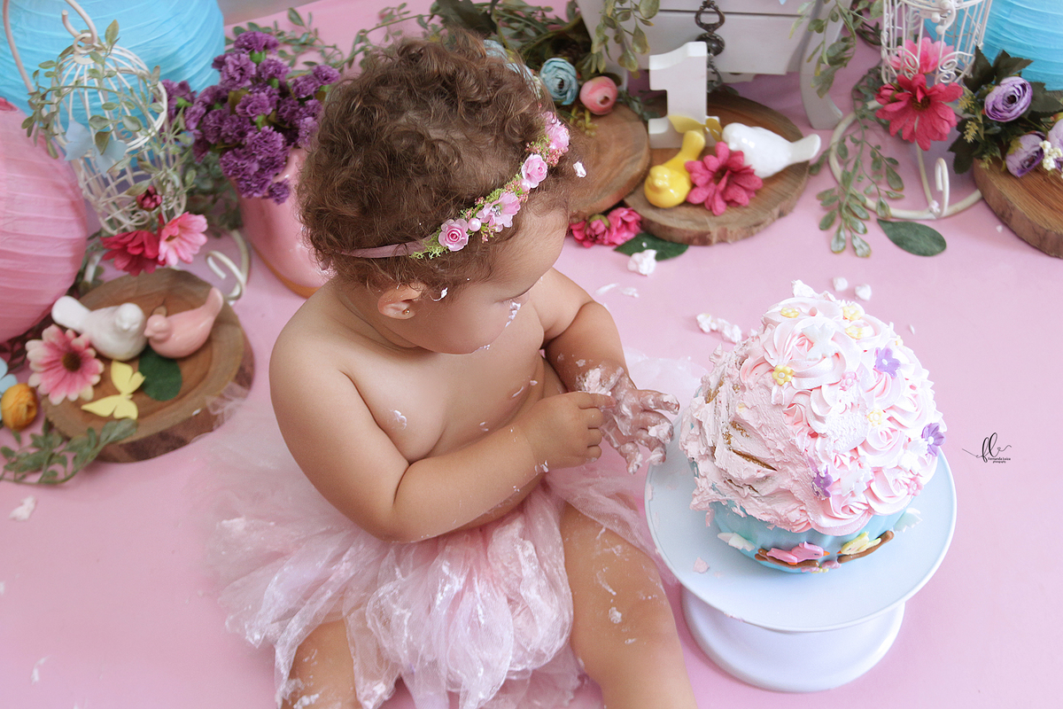 smash, smash the cake, ideias jardim encantado, sessão do bolinho, cake smash, smash the cake tema jardim encantado, smash the cake cenário jardim, jardim encantado,bolo jardim encantado,smash the cake para menina,sessão de um ano no tema jardim,borboleta