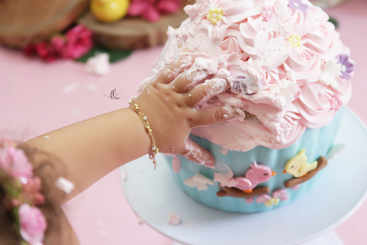 smash, smash the cake, ideias jardim encantado, sessão do bolinho, cake smash, smash the cake tema jardim encantado, smash the cake cenário jardim, jardim encantado,bolo jardim encantado,smash the cake para menina,sessão de um ano no tema jardim,borboleta