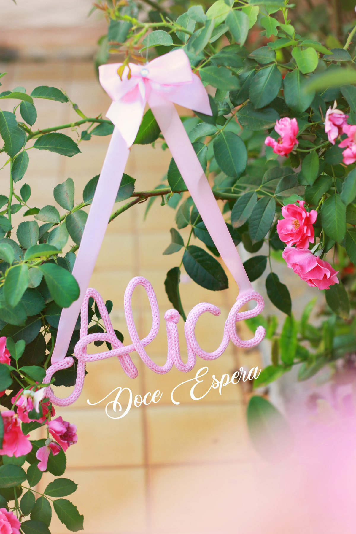 gestante,fotos no eucalipto, ensaio gestante, ensaio fotografico de gravida, fotos de gravida, gravida linda, ideias para ensaio gestante, ideias para gestantes, cha de bebe, recem nascido, nome em tricotim, fraldas, roupinhas para bebes, tricotim