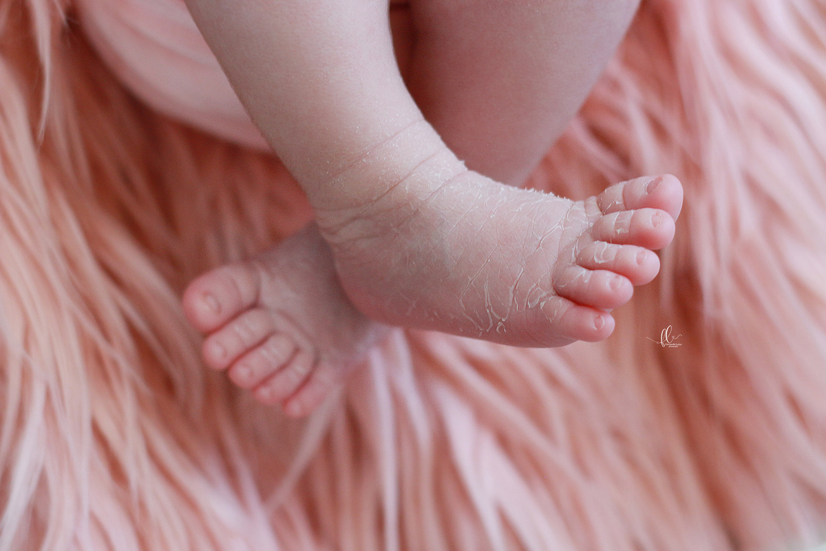 newborn, sessão newborn,newborn menina, newborn brasil,newborn ideias, ideias sessão newborn menina, ideias sessão newborn, recem nascido, bebes fofos, bebes, ideias fotos de bebes, ideias de fotos de bebes recem nascido, poses newborn,