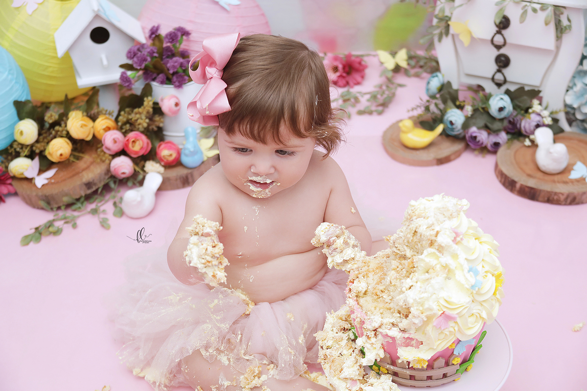 smash, smash the cake, ideias jardim encantado, sessão do bolinho, cake smash, smash the cake tema jardim encantado, smash the cake cenário jardim, jardim encantado,bolo jardim encantado,smash the cake para menina,sessão de um ano no tema jardim,borboleta