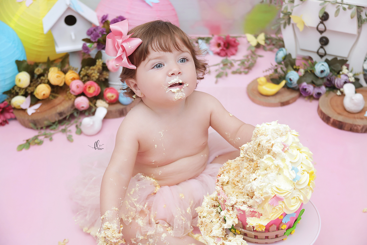 smash, smash the cake, ideias jardim encantado, sessão do bolinho, cake smash, smash the cake tema jardim encantado, smash the cake cenário jardim, jardim encantado,bolo jardim encantado,smash the cake para menina,sessão de um ano no tema jardim,borboleta