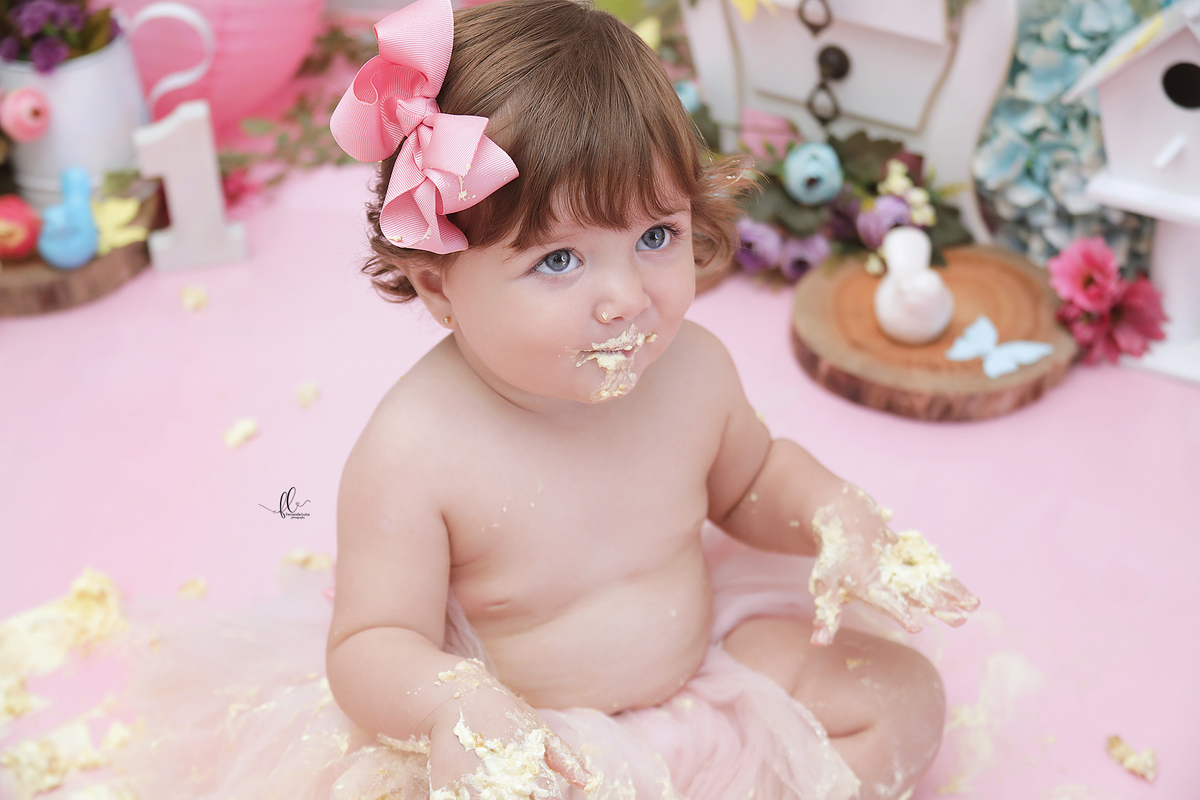 smash, smash the cake, ideias jardim encantado, sessão do bolinho, cake smash, smash the cake tema jardim encantado, smash the cake cenário jardim, jardim encantado,bolo jardim encantado,smash the cake para menina,sessão de um ano no tema jardim,borboleta