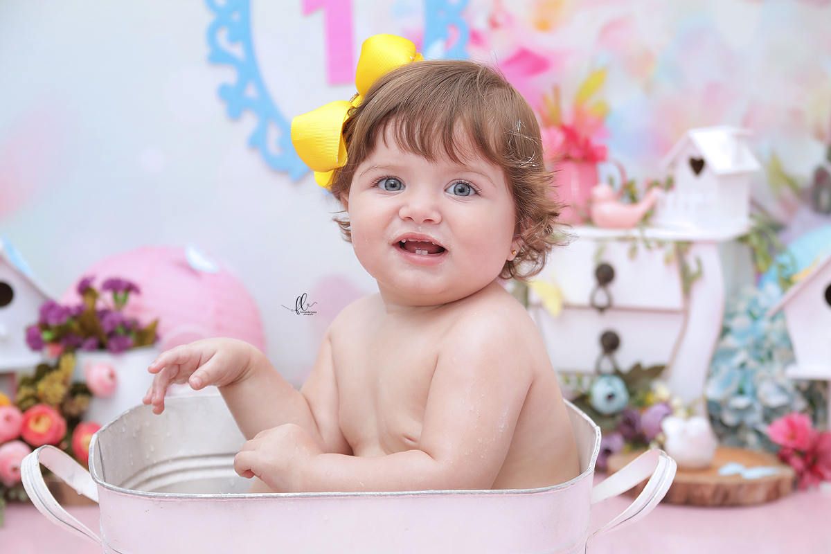 smash, smash the cake, ideias jardim encantado, sessão do bolinho, cake smash, smash the cake tema jardim encantado, smash the cake cenário jardim, jardim encantado,bolo jardim encantado,smash the cake para menina,sessão de um ano no tema jardim,borboleta