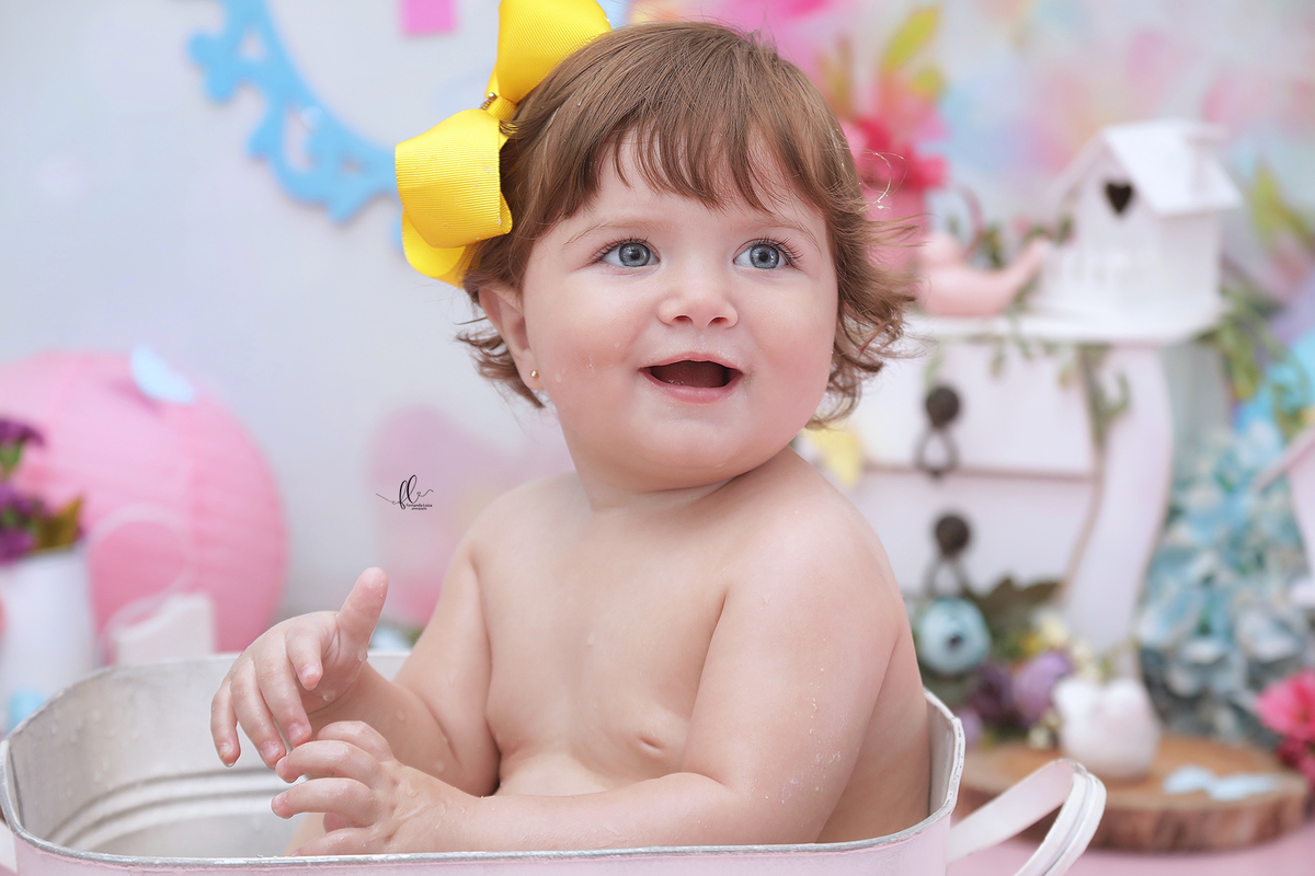 smash, smash the cake, ideias jardim encantado, sessão do bolinho, cake smash, smash the cake tema jardim encantado, smash the cake cenário jardim, jardim encantado,bolo jardim encantado,smash the cake para menina,sessão de um ano no tema jardim,borboleta