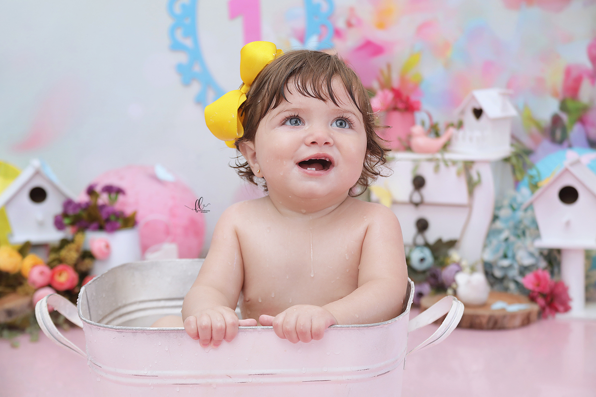 smash, smash the cake, ideias jardim encantado, sessão do bolinho, cake smash, smash the cake tema jardim encantado, smash the cake cenário jardim, jardim encantado,bolo jardim encantado,smash the cake para menina,sessão de um ano no tema jardim,borboleta