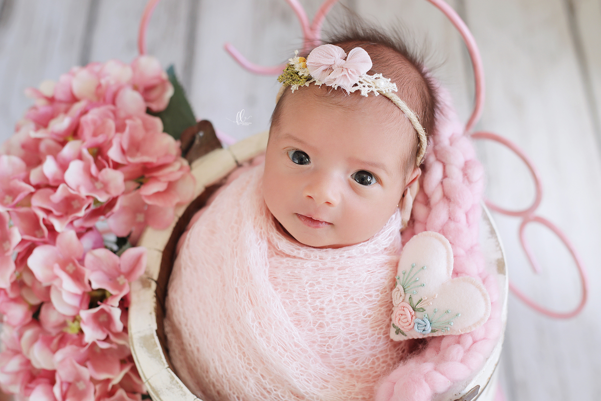 newborn, sessão newborn,newborn menina, newborn brasil,newborn ideias, ideias sessão newborn menina, ideias sessão newborn, recem nascido, bebes fofos, bebes, ideias fotos de bebes, ideias de fotos de bebes recem nascido, poses newborn,