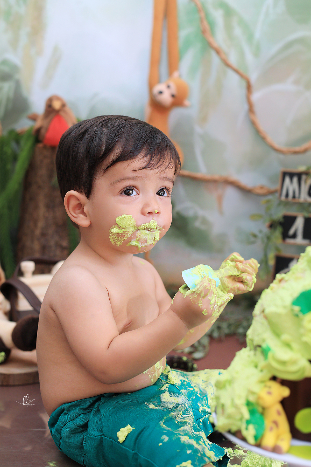 smash, smash the cake, ideias safari, ideias no tema safari, sessão do bolinho, cake smash, smash the cake tema safari , smash the cake cenário safari, selva,bolo safari ,smash the cake para menino,sessão de um ano no tema safari,safari, bichos, animais