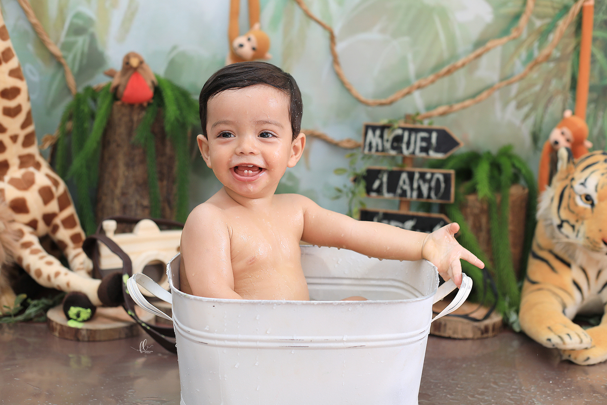 smash, smash the cake, ideias safari, ideias no tema safari, sessão do bolinho, cake smash, smash the cake tema safari , smash the cake cenário safari, selva,bolo safari ,smash the cake para menino,sessão de um ano no tema safari,safari, bichos, animais