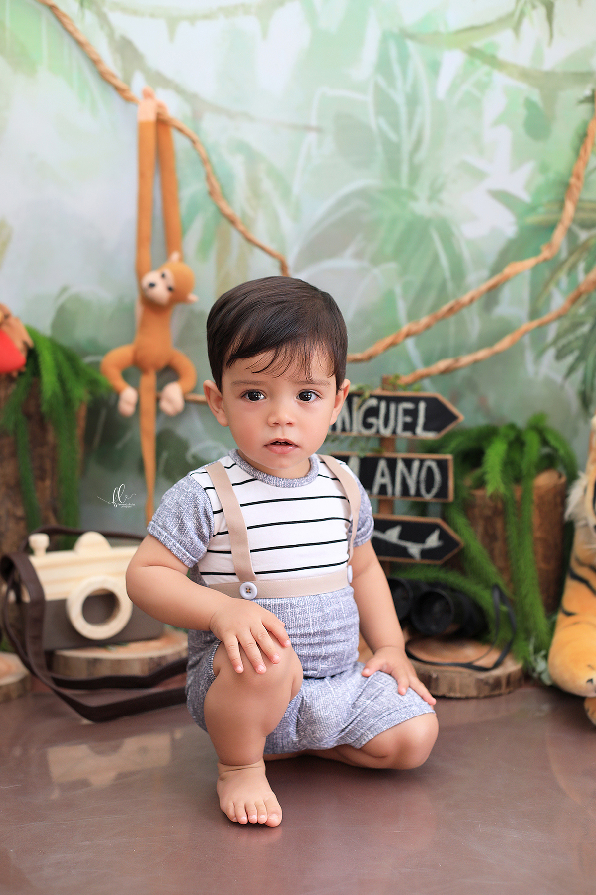 smash, smash the cake, ideias safari, ideias no tema safari, sessão do bolinho, cake smash, smash the cake tema safari , smash the cake cenário safari, selva,bolo safari ,smash the cake para menino,sessão de um ano no tema safari,safari, bichos, animais