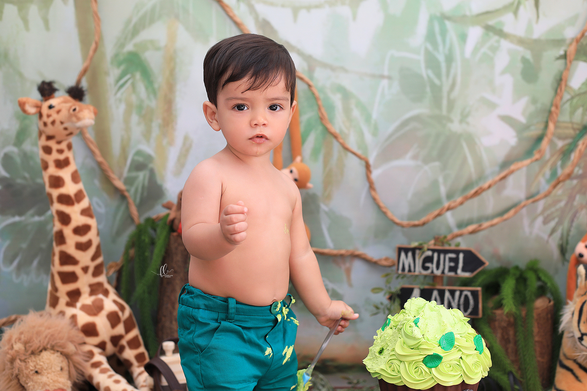 smash, smash the cake, ideias safari, ideias no tema safari, sessão do bolinho, cake smash, smash the cake tema safari , smash the cake cenário safari, selva,bolo safari ,smash the cake para menino,sessão de um ano no tema safari,safari, bichos, animais