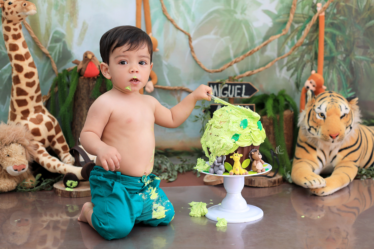 smash, smash the cake, ideias safari, ideias no tema safari, sessão do bolinho, cake smash, smash the cake tema safari , smash the cake cenário safari, selva,bolo safari ,smash the cake para menino,sessão de um ano no tema safari,safari, bichos, animais
