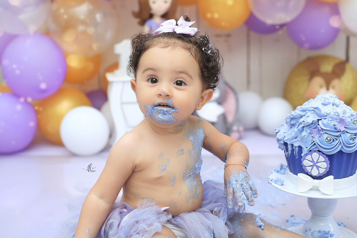 smash the cake princesinha sofia,princesinha sofia,sessão de um ano no tema princesinha sofia, bolo tema princesinha sofia, bolo princesinha sofia, princesa, smash the cake princesa, princesinha sofia, decoração princesinha sofia, smash the cake meninas