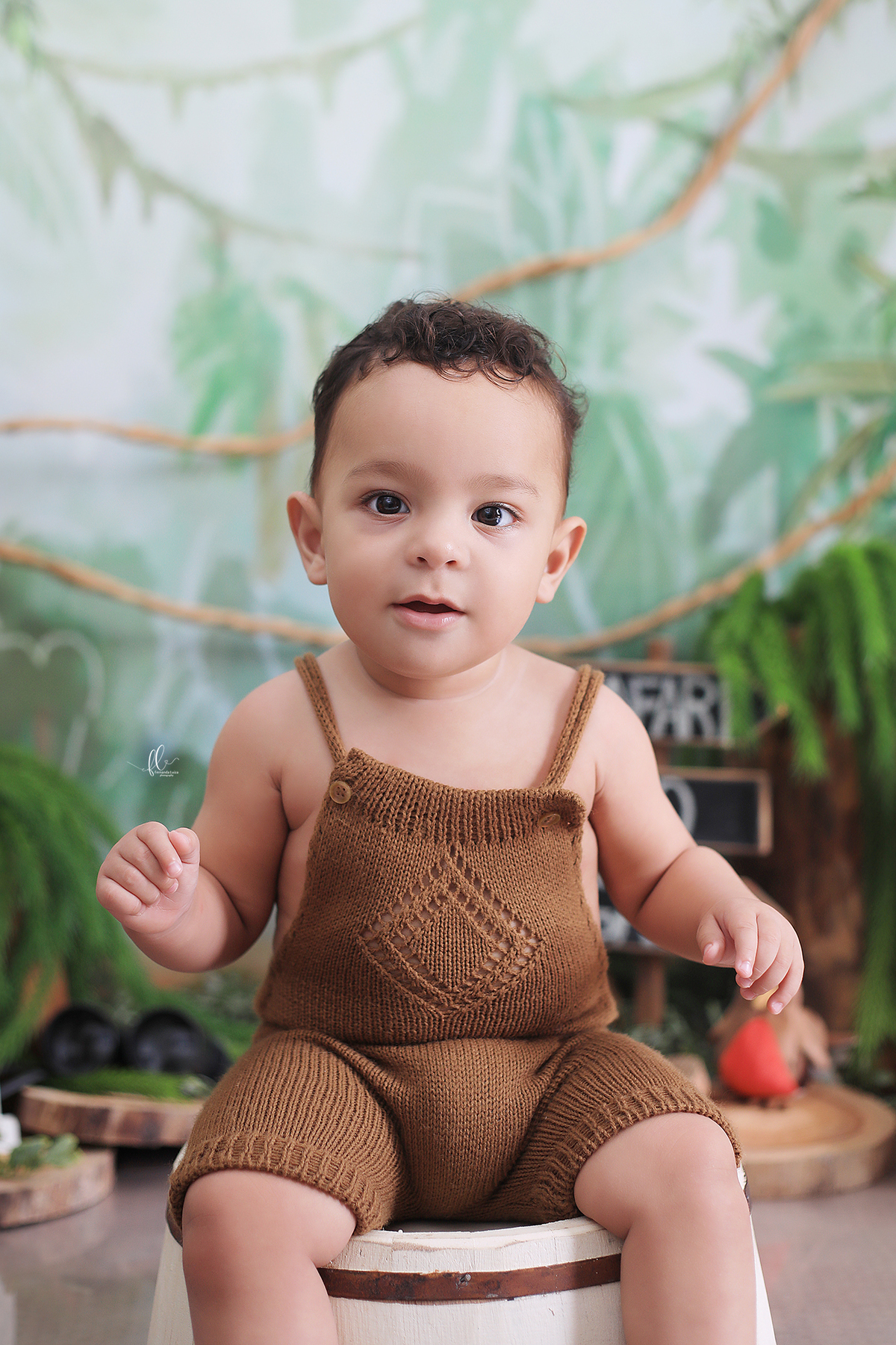 smash, smash the cake, ideias safari, ideias no tema safari, sessão do bolinho, cake smash, smash the cake tema safari , smash the cake cenário safari, selva,bolo safari ,smash the cake para menino,sessão de um ano no tema safari,safari, bichos, animais