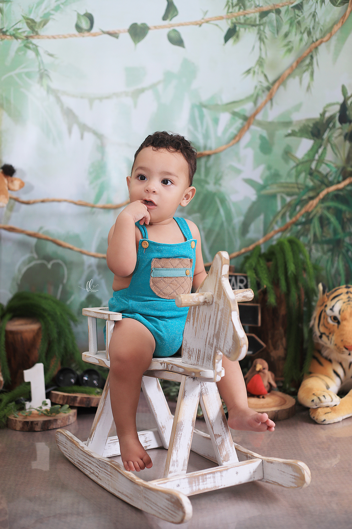 smash, smash the cake, ideias safari, ideias no tema safari, sessão do bolinho, cake smash, smash the cake tema safari , smash the cake cenário safari, selva,bolo safari ,smash the cake para menino,sessão de um ano no tema safari,safari, bichos, animais