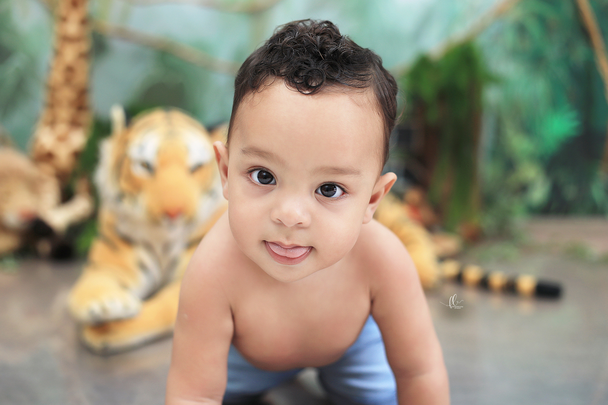 smash, smash the cake, ideias safari, ideias no tema safari, sessão do bolinho, cake smash, smash the cake tema safari , smash the cake cenário safari, selva,bolo safari ,smash the cake para menino,sessão de um ano no tema safari,safari, bichos, animais