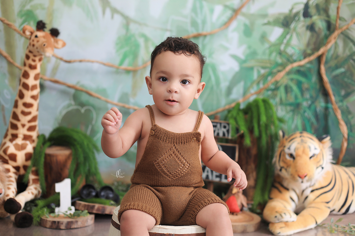 smash, smash the cake, ideias safari, ideias no tema safari, sessão do bolinho, cake smash, smash the cake tema safari , smash the cake cenário safari, selva,bolo safari ,smash the cake para menino,sessão de um ano no tema safari,safari, bichos, animais