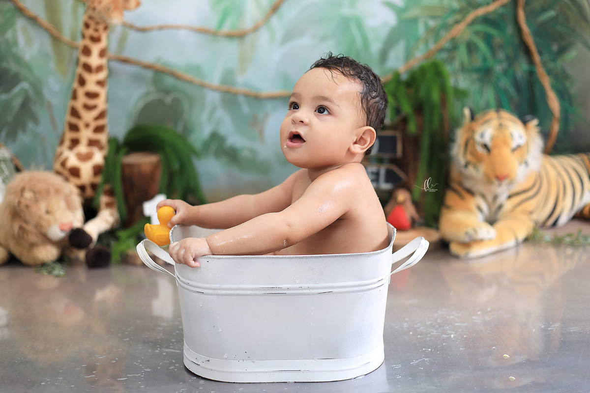 smash, smash the cake, ideias safari, ideias no tema safari, sessão do bolinho, cake smash, smash the cake tema safari , smash the cake cenário safari, selva,bolo safari ,smash the cake para menino,sessão de um ano no tema safari,safari, bichos, animais