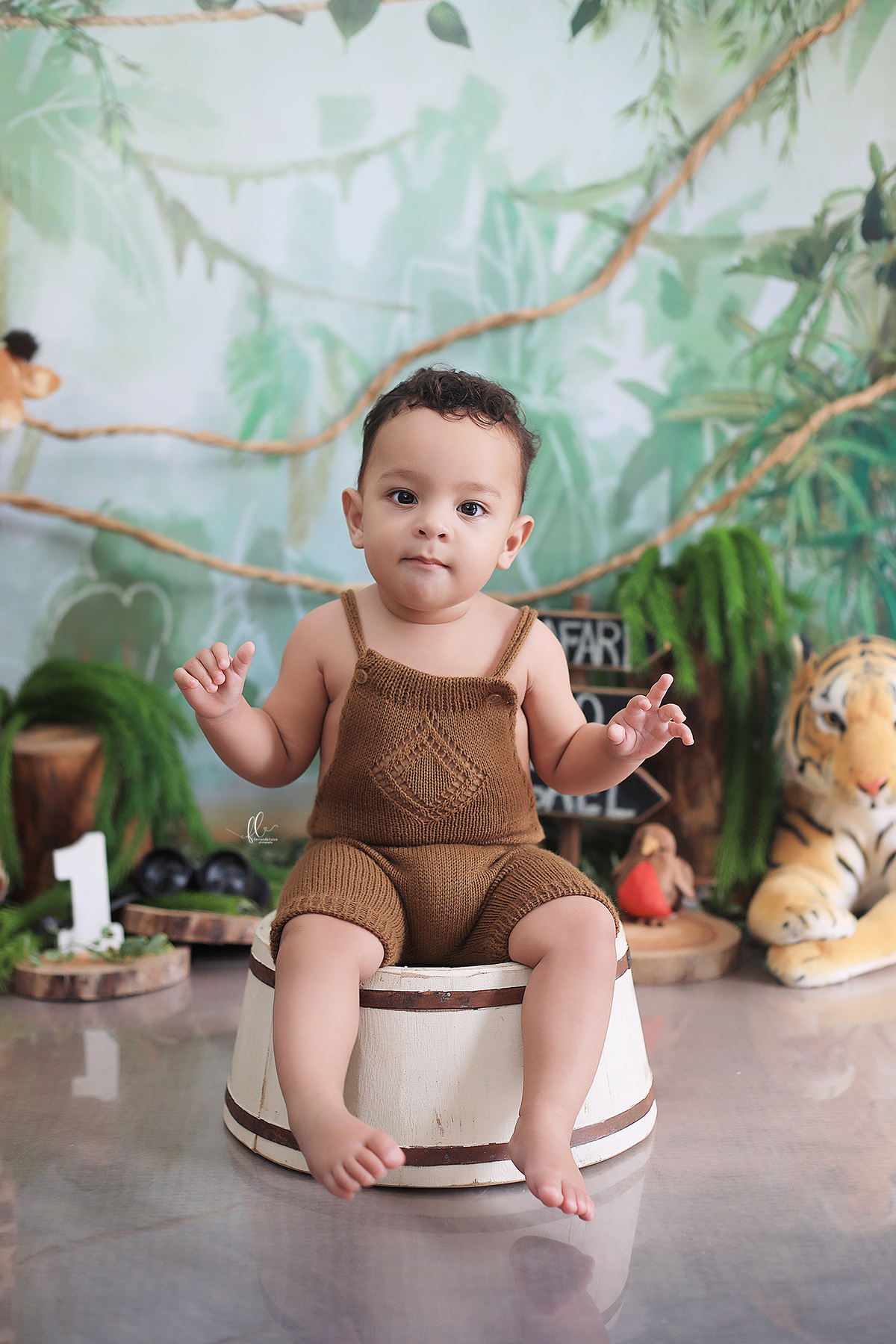 smash, smash the cake, ideias safari, ideias no tema safari, sessão do bolinho, cake smash, smash the cake tema safari , smash the cake cenário safari, selva,bolo safari ,smash the cake para menino,sessão de um ano no tema safari,safari, bichos, animais