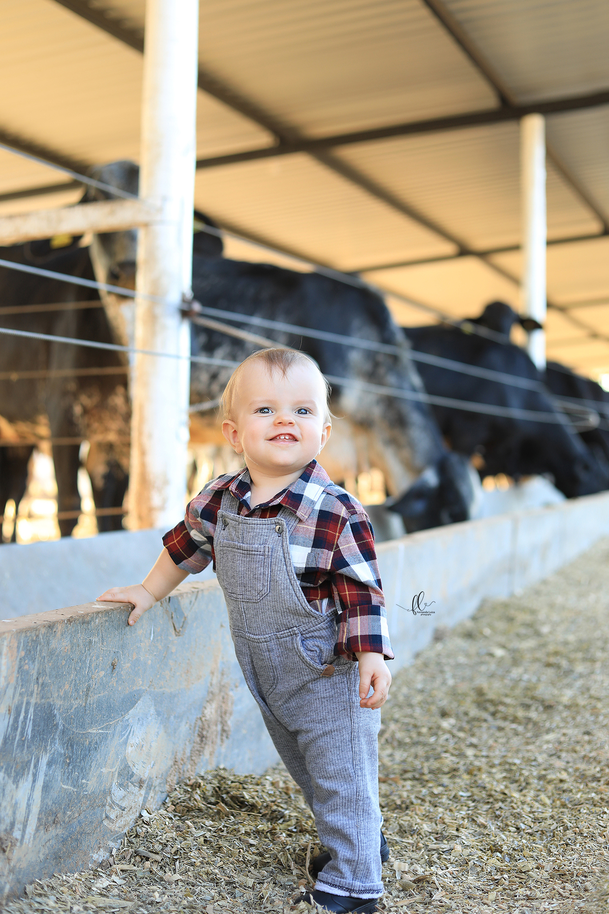 smash, smash the cake, ideias safari, ideias no tema safari, sessão do bolinho, cake smash, fazendeiro, boiadeiro, boho, smash the cake cenário fazenda, selva,fazenda ,smash the cake para menino,sessão de um ano no tema safari,safari, bichos, animais