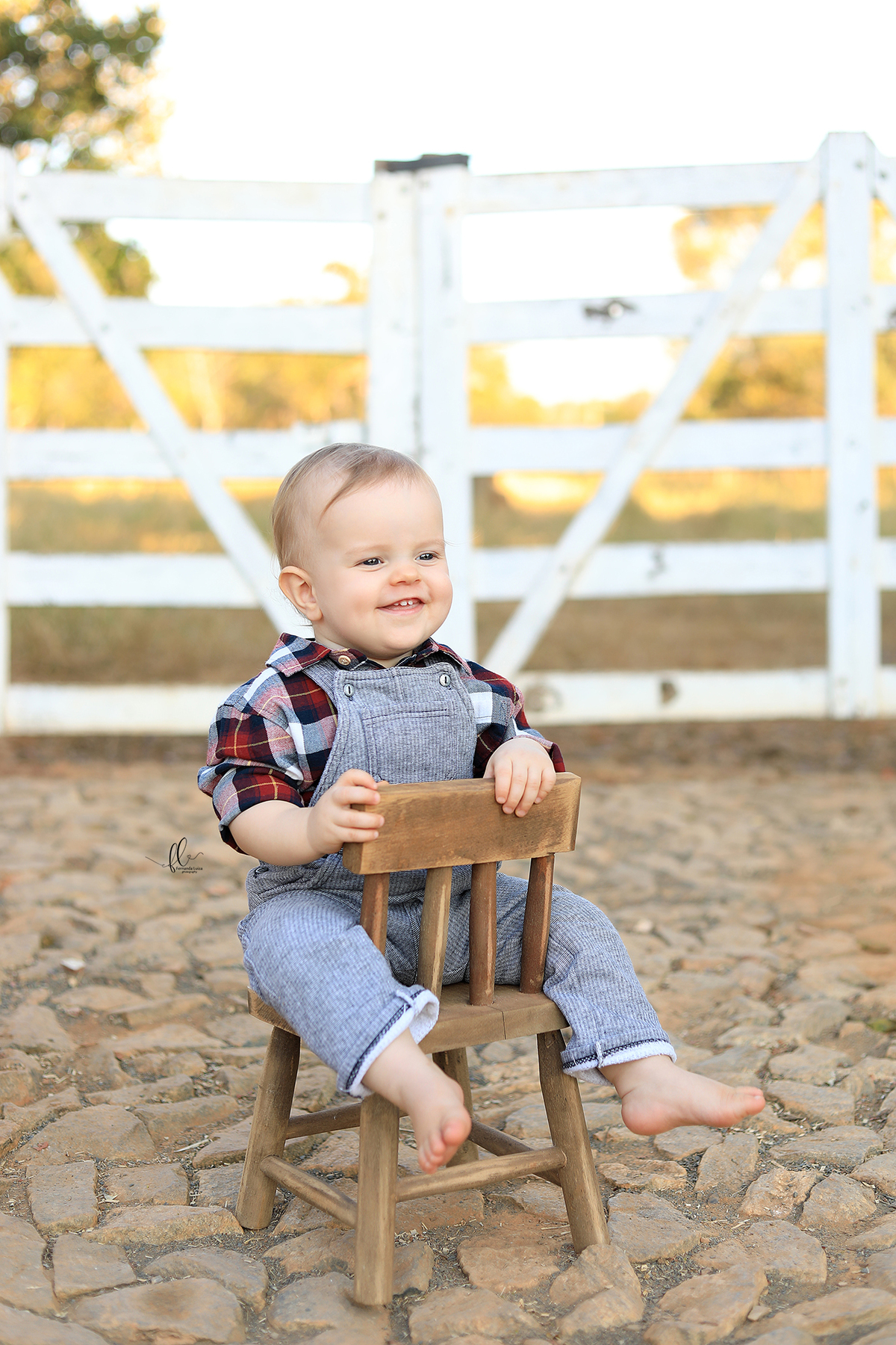 smash, smash the cake, ideias safari, ideias no tema safari, sessão do bolinho, cake smash, fazendeiro, boiadeiro, boho, smash the cake cenário fazenda, selva,fazenda ,smash the cake para menino,sessão de um ano no tema safari,safari, bichos, animais