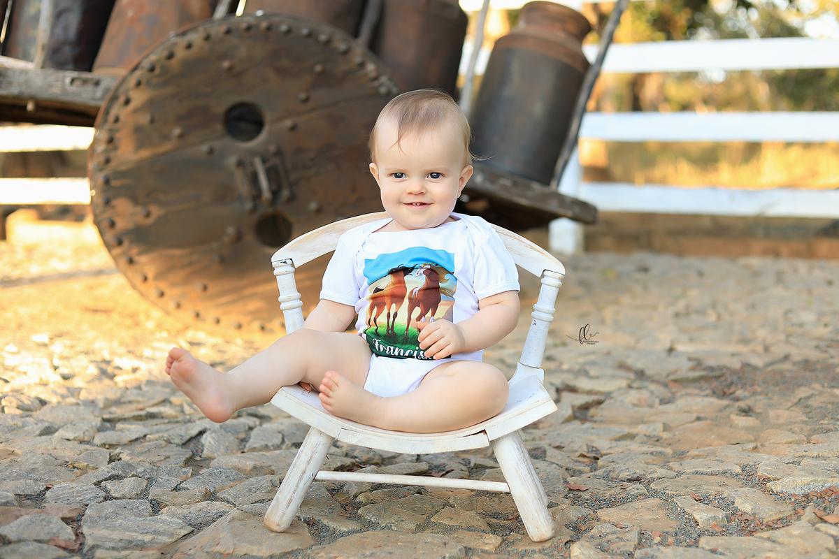 smash, smash the cake, ideias safari, ideias no tema safari, sessão do bolinho, cake smash, fazendeiro, boiadeiro, boho, smash the cake cenário fazenda, selva,fazenda ,smash the cake para menino,sessão de um ano no tema safari,safari, bichos, animais