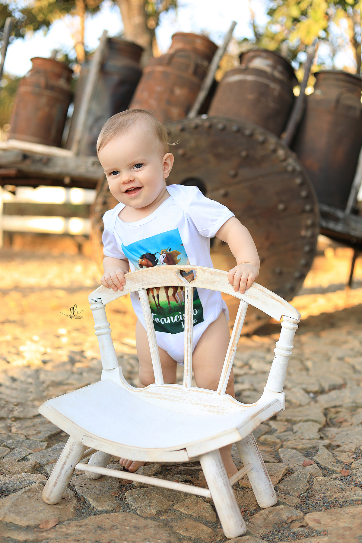 smash, smash the cake, ideias safari, ideias no tema safari, sessão do bolinho, cake smash, fazendeiro, boiadeiro, boho, smash the cake cenário fazenda, selva,fazenda ,smash the cake para menino,sessão de um ano no tema safari,safari, bichos, animais