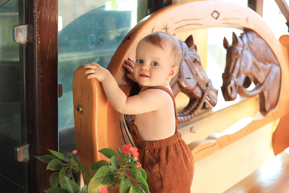 smash, smash the cake, ideias safari, ideias no tema safari, sessão do bolinho, cake smash, fazendeiro, boiadeiro, boho, smash the cake cenário fazenda, selva,fazenda ,smash the cake para menino,sessão de um ano no tema safari,safari, bichos, animais