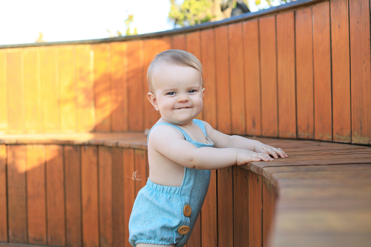 smash, smash the cake, ideias safari, ideias no tema safari, sessão do bolinho, cake smash, fazendeiro, boiadeiro, boho, smash the cake cenário fazenda, selva,fazenda ,smash the cake para menino,sessão de um ano no tema safari,safari, bichos, animais