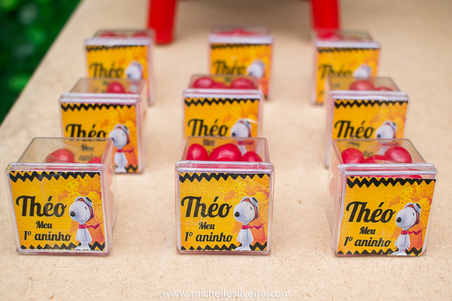 Fotografia de Festa Infantil tema turma do Snoopy no buffet kairós em Diadema - SP