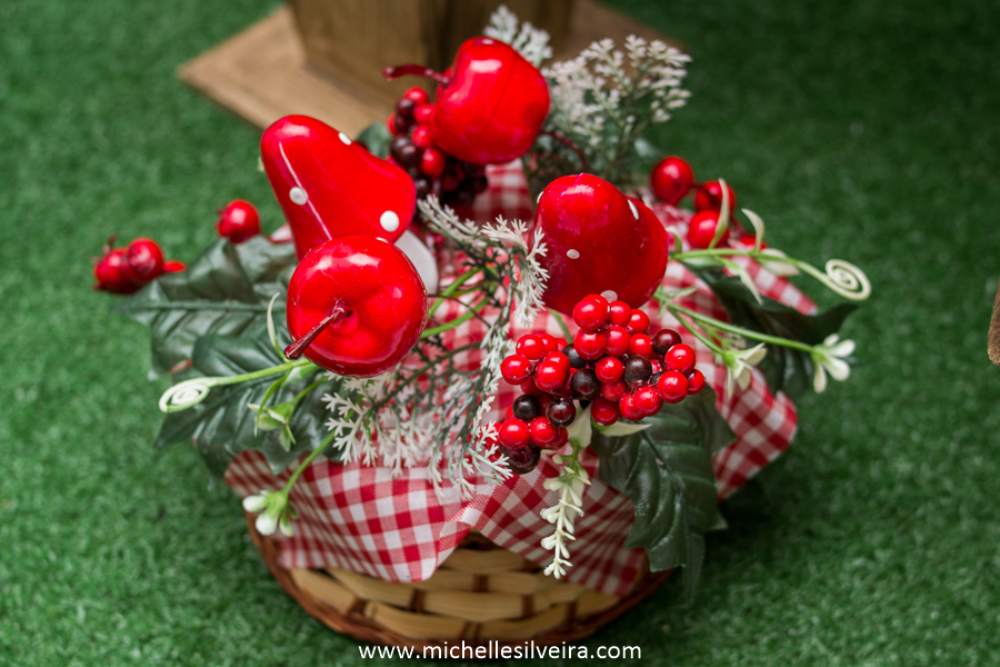 Fotografia de Festa Infantil tema chapeuzinho vermelho em sp