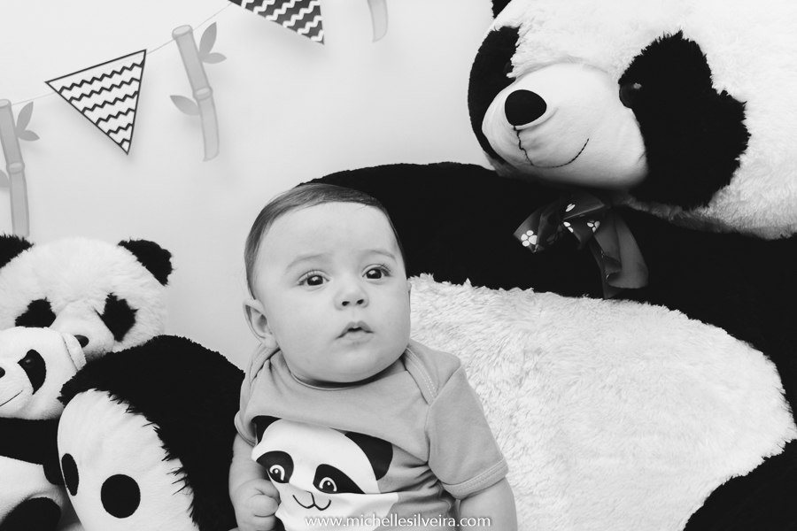 ensaio de 6 meses - acompanhamneto mensal na zona sul de são paulo - michelle silveira fotografia - tema panda