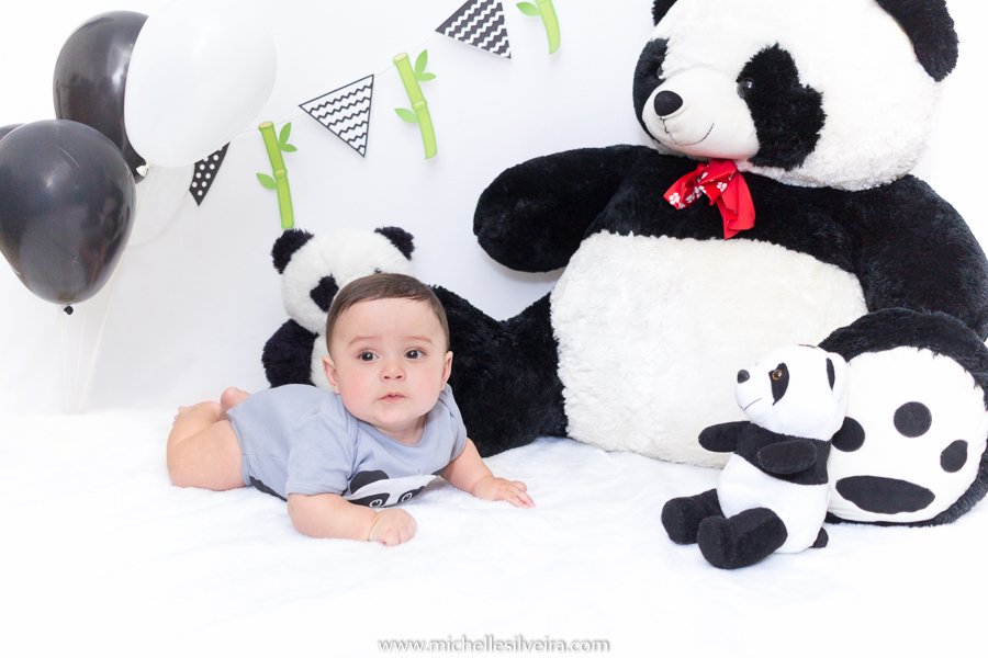 ensaio de 6 meses - acompanhamneto mensal na zona sul de são paulo - michelle silveira fotografia - tema panda
