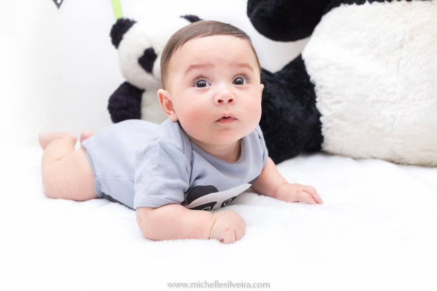 ensaio de 6 meses - acompanhamneto mensal na zona sul de são paulo - michelle silveira fotografia - tema panda