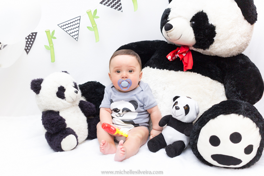 ensaio de 6 meses - acompanhamneto mensal na zona sul de são paulo - michelle silveira fotografia - tema panda