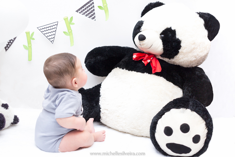 ensaio de 6 meses - acompanhamneto mensal na zona sul de são paulo - michelle silveira fotografia - tema panda
