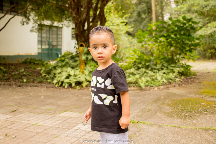 ensaio fotografico infantil - levi 2 anos - em parque do ibirapuera - michellesilveirafotografia