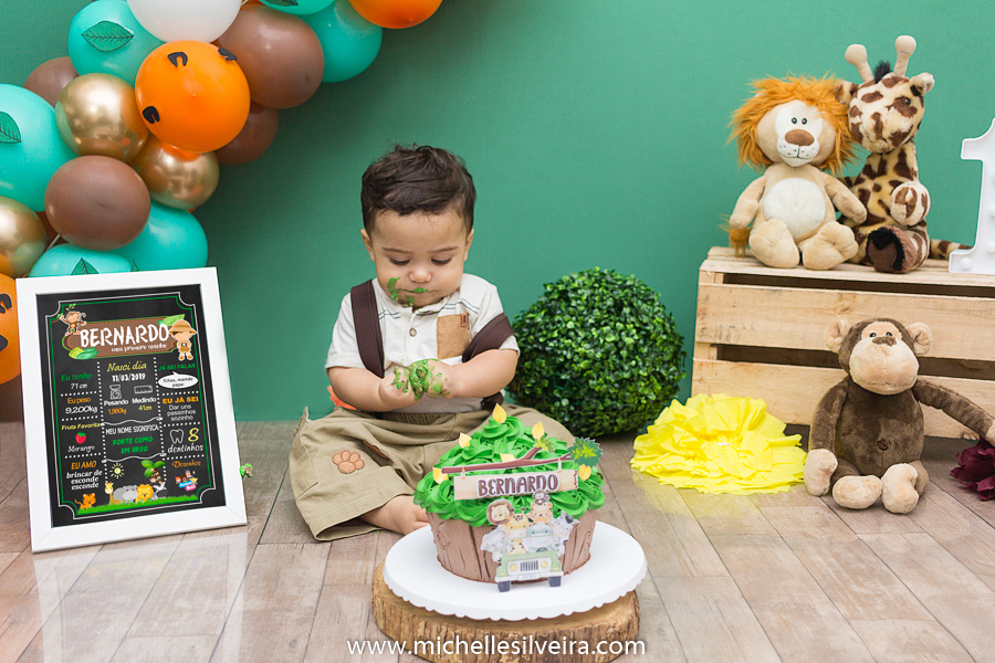 Smash the cake do Bernardo tema safari michelle silveira fotografia