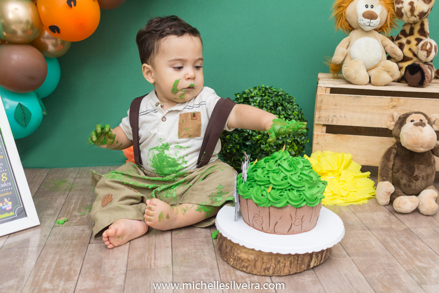 Smash the cake do Bernardo tema safari michelle silveira fotografia
