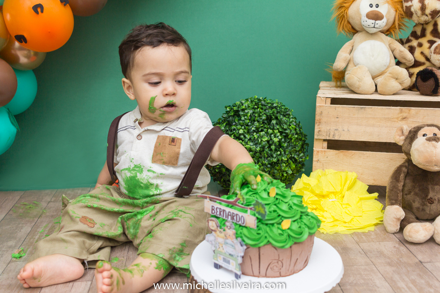 Smash the cake do Bernardo tema safari michelle silveira fotografia