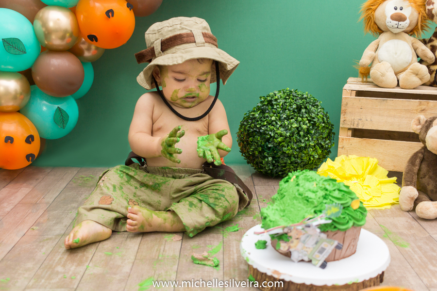 Smash the cake do Bernardo tema safari michelle silveira fotografia