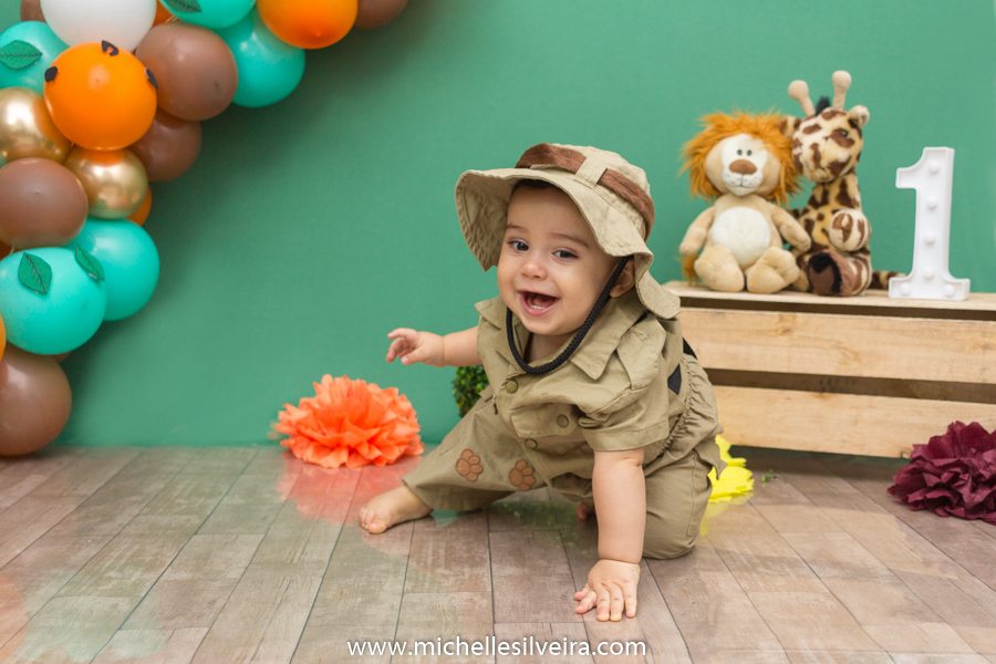 Smash the cake do Bernardo tema safari michelle silveira fotografia