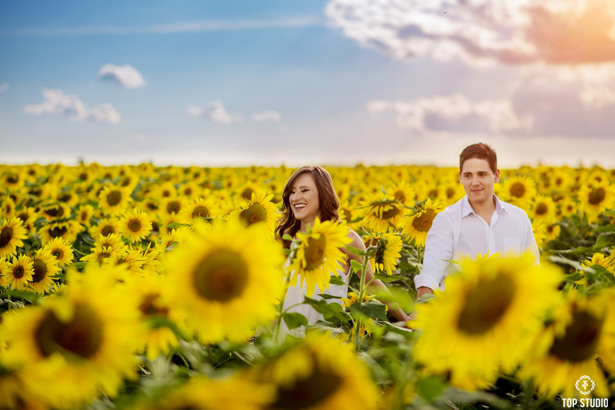 fotografia girassol top studio