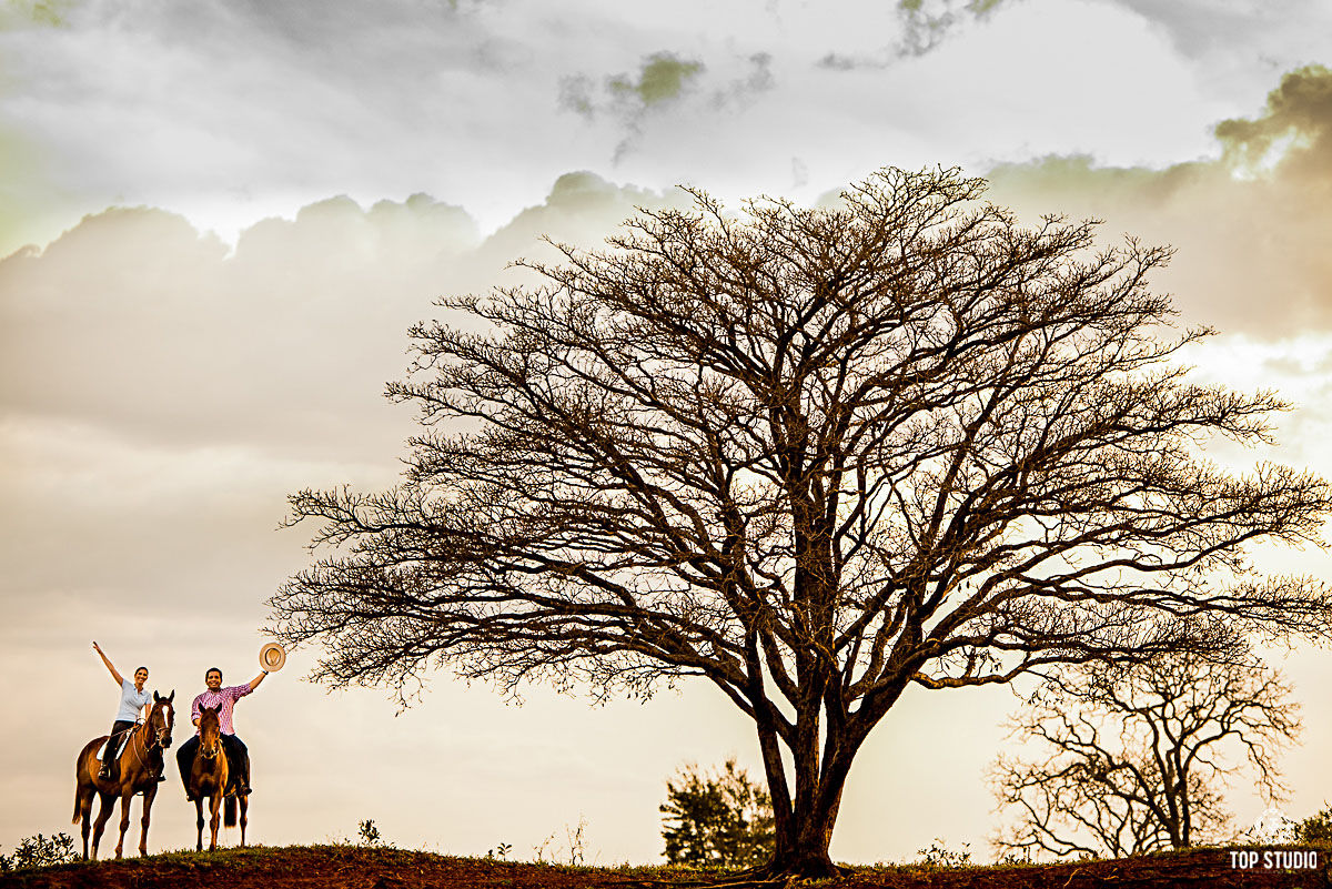 Ensaio de casal com cavalos em campo grande