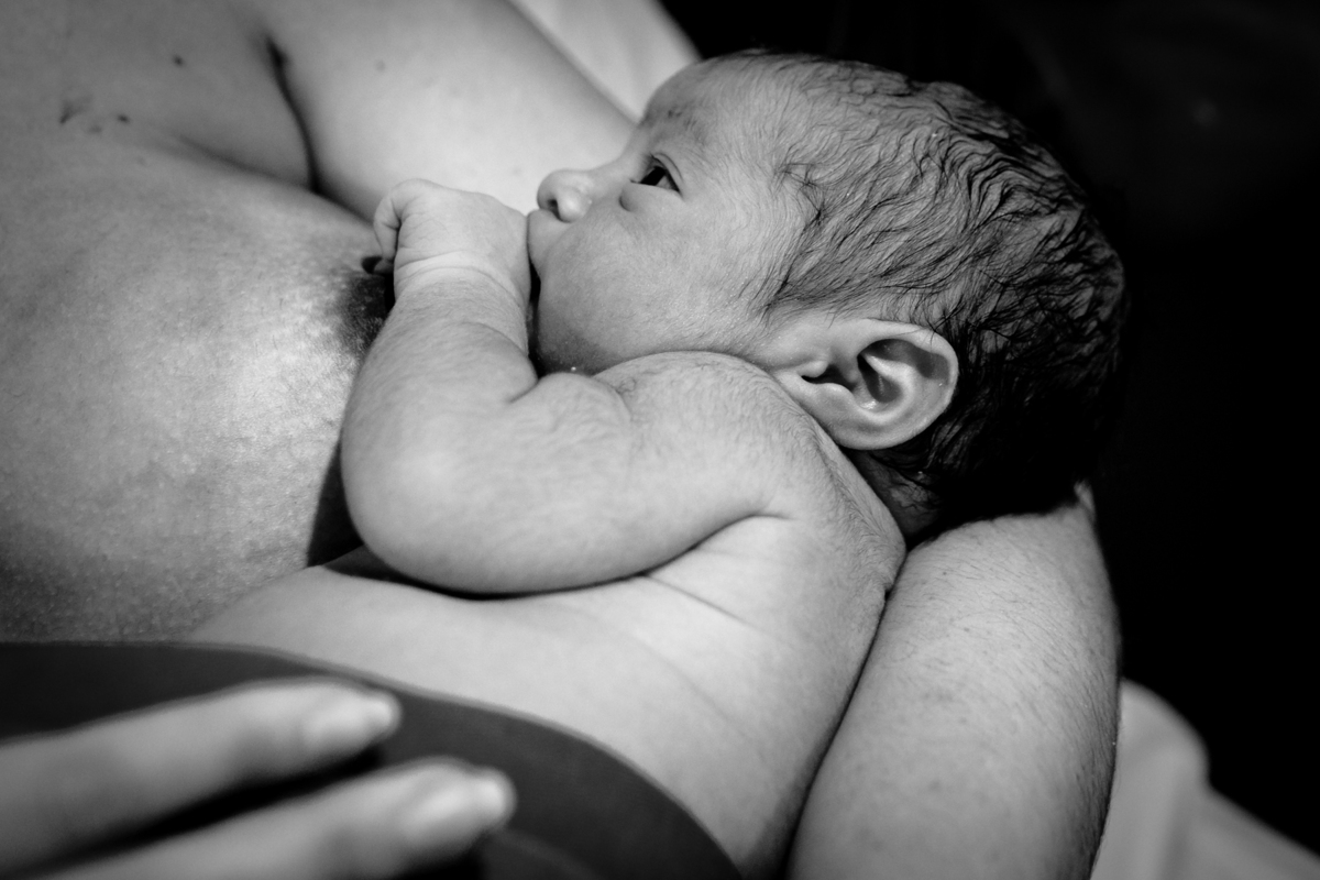 bebê mamando pela primeira vez na mãe após o nascimento. Maternidade em Florianópolis. Foto em preto e branco